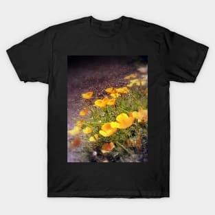 california poppies 3 T-Shirt